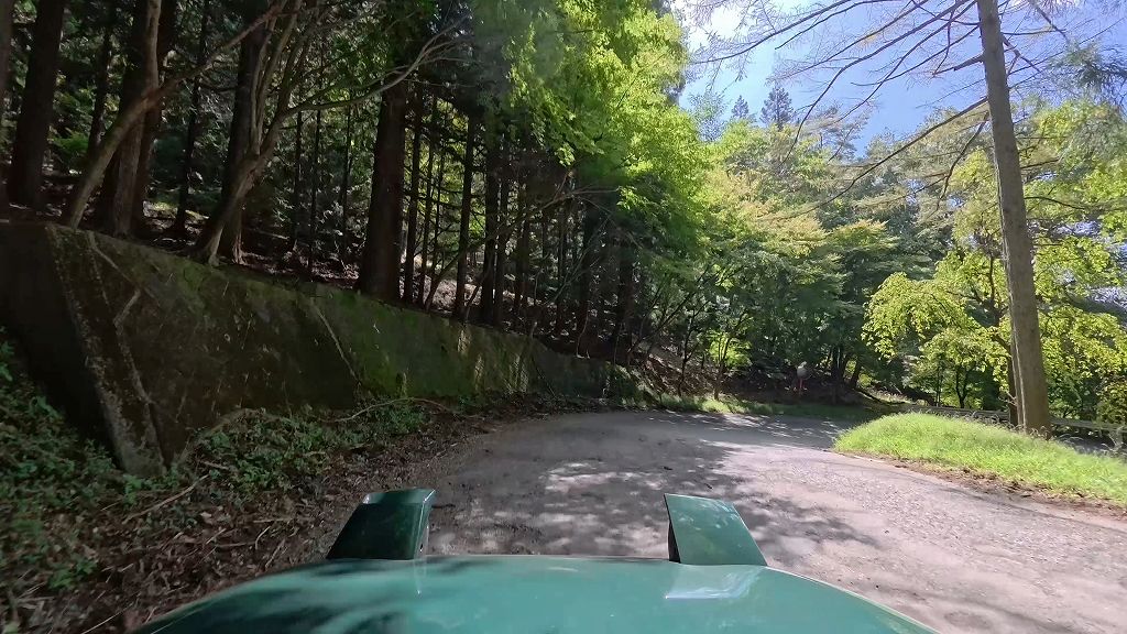 姫街道もみじライン